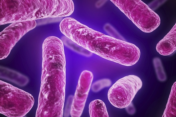 SAD: Otkrivena superbakterija otporna na sve antibiotike