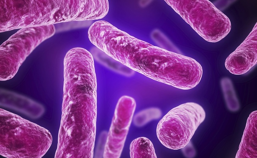 SAD: Otkrivena superbakterija otporna na sve antibiotike