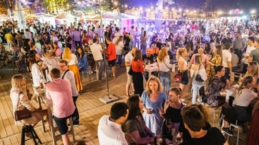 Vinski grad u Titovom Parku